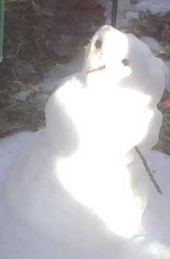 Alexander's snowman