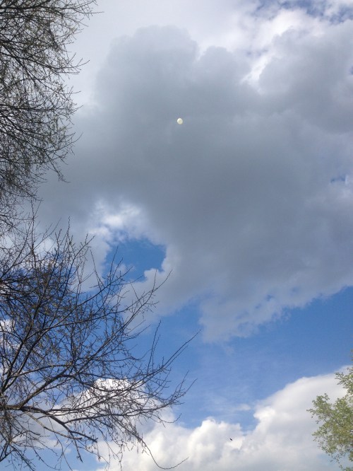 The last of 7 balloons released for Alexander.